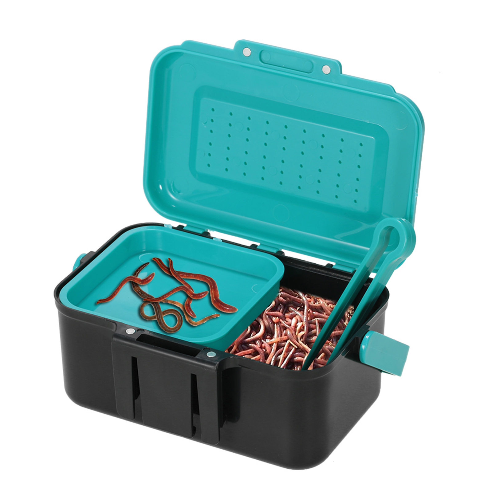 Draagbare vislokdoos, levende  - Fish Finder Case recensie en prijs